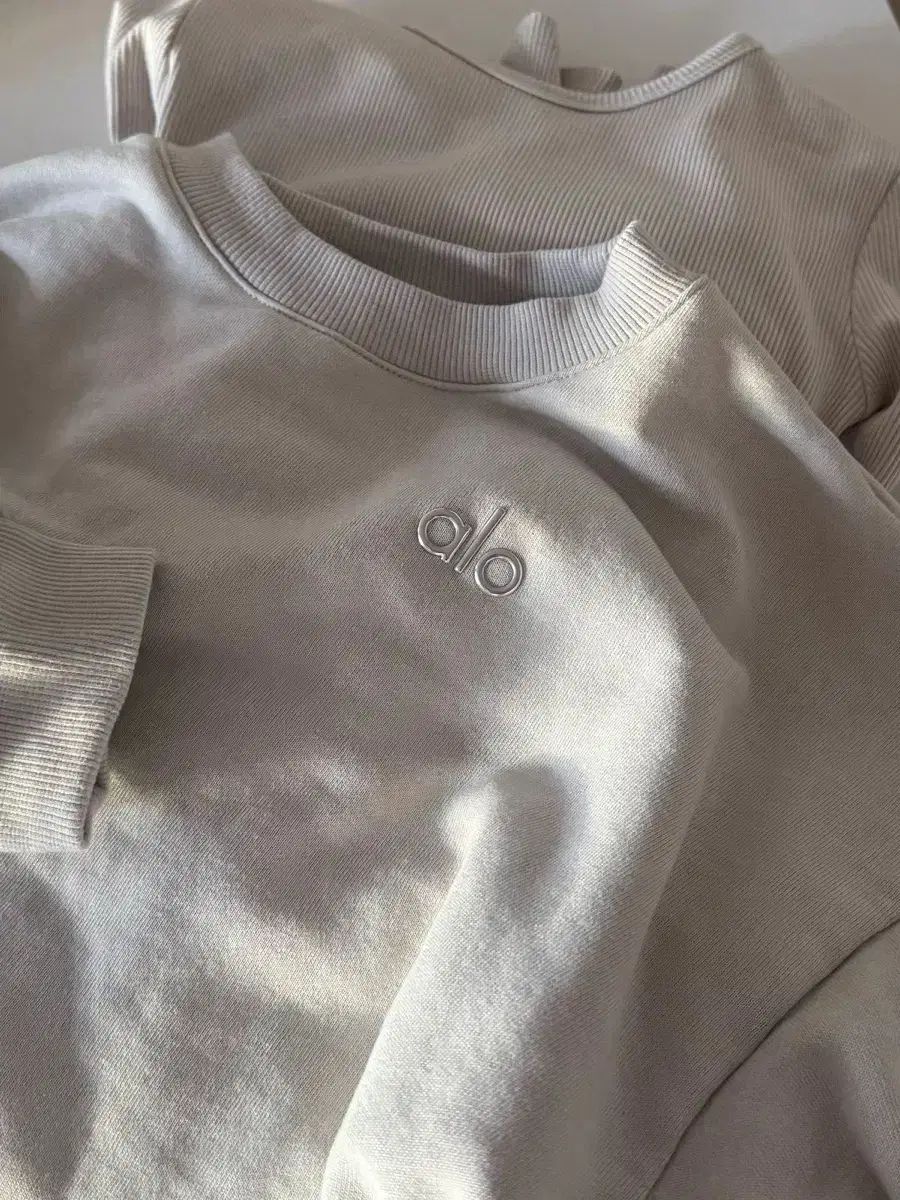 アロ アコレイ ドクルーネック プルオーバー 起毛 スウェット