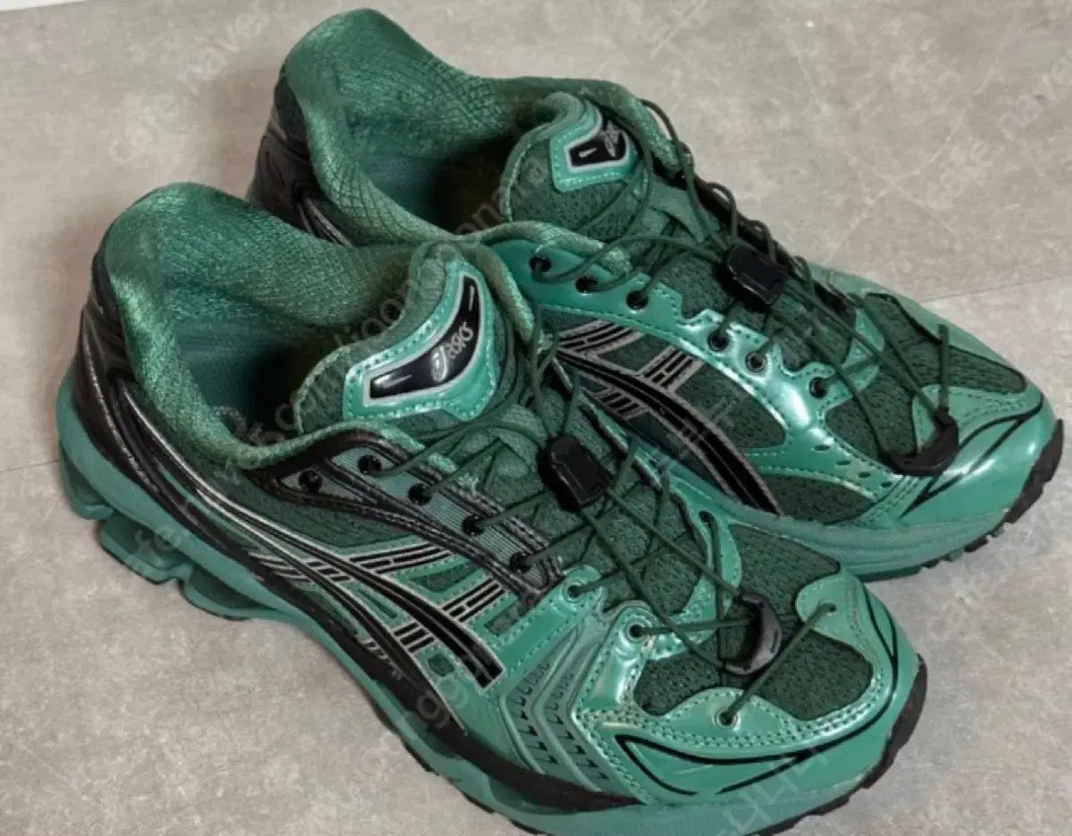 アシックス ゲル カヤノ 14 ウラノス グリーン