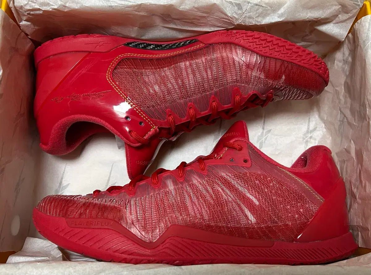 265 SPO プレイヤー1 PLUS Wish