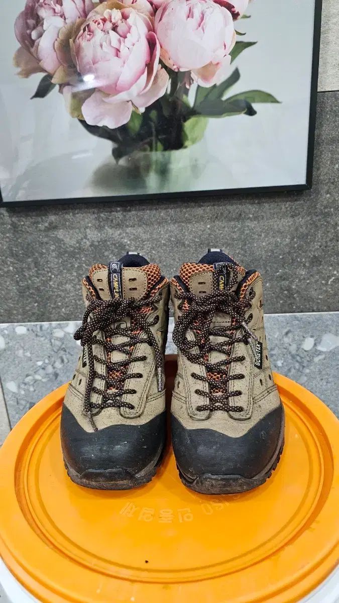 レディース登山靴 CAMPLINE GORE TEX