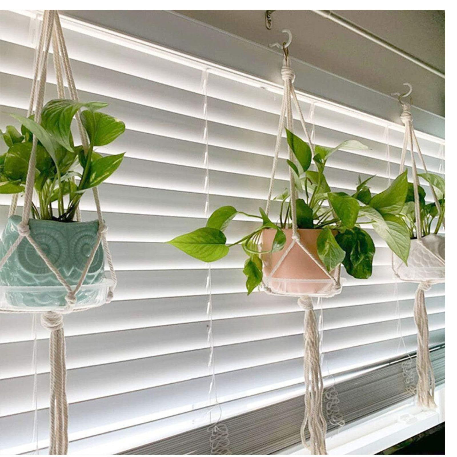 ノーブランド品 Life 2キクねじフックウォールフックスクリューフック天井吊り下げ金具壁フックシーリングフック小物壁掛け 入 RUI 455