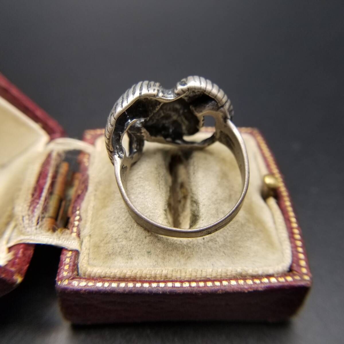 ヤギの頭 アニマルヘッド