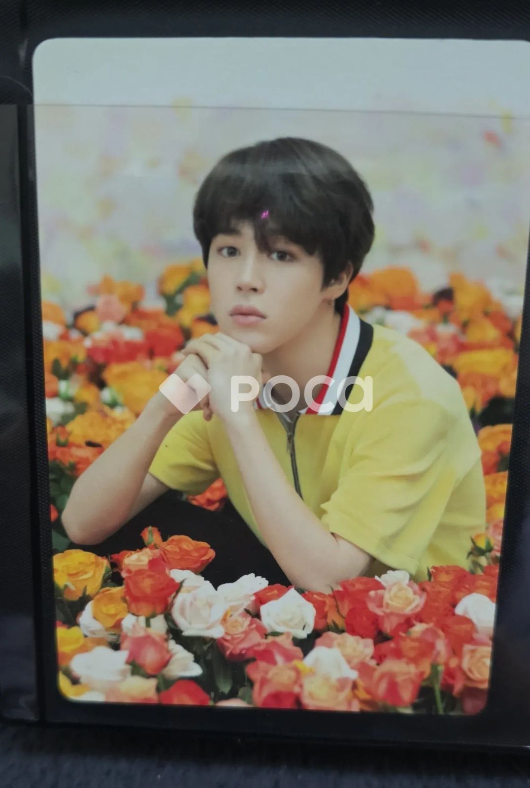 BTS ジミン BTS WORLD TOUR 'LOVE YOURSELF'~JAPAN EDITION~ MINI