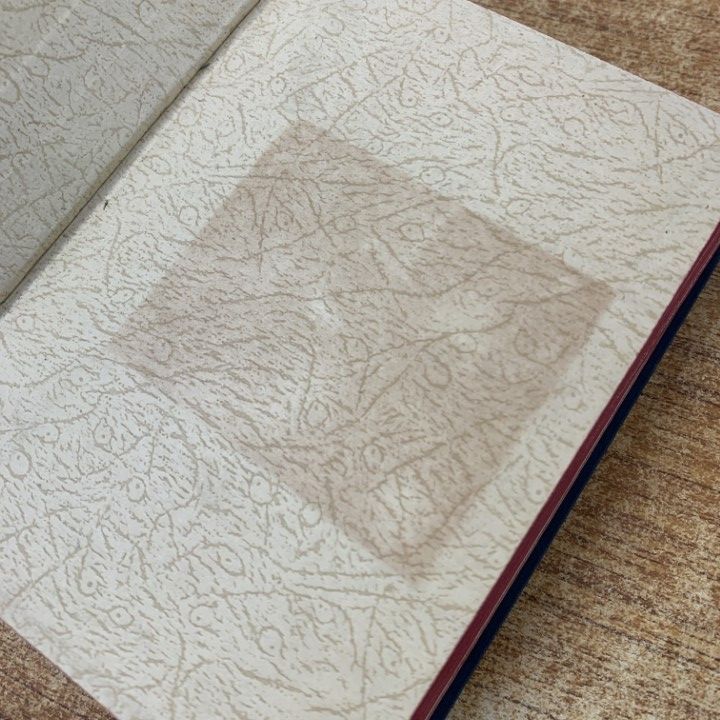 △01)【1点限り!】旧約聖書 ヴルガタ全訳 第3・4巻 2冊セット/光明社