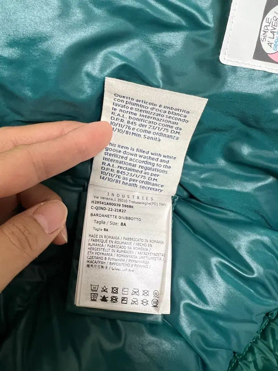 ダウン サイズ8