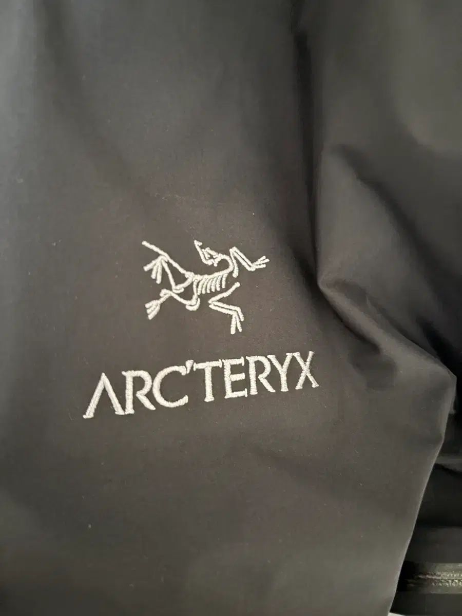 ARC TERYX アークテリクス ベータ lt m