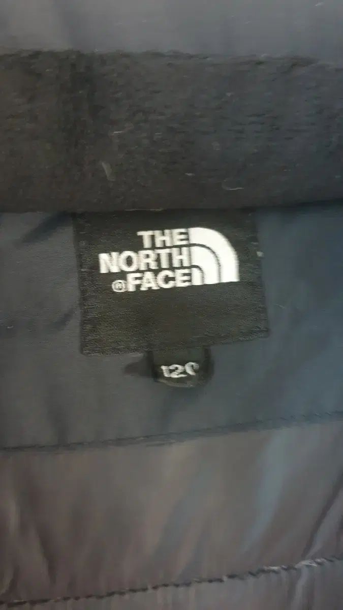 ザノースフェイス120