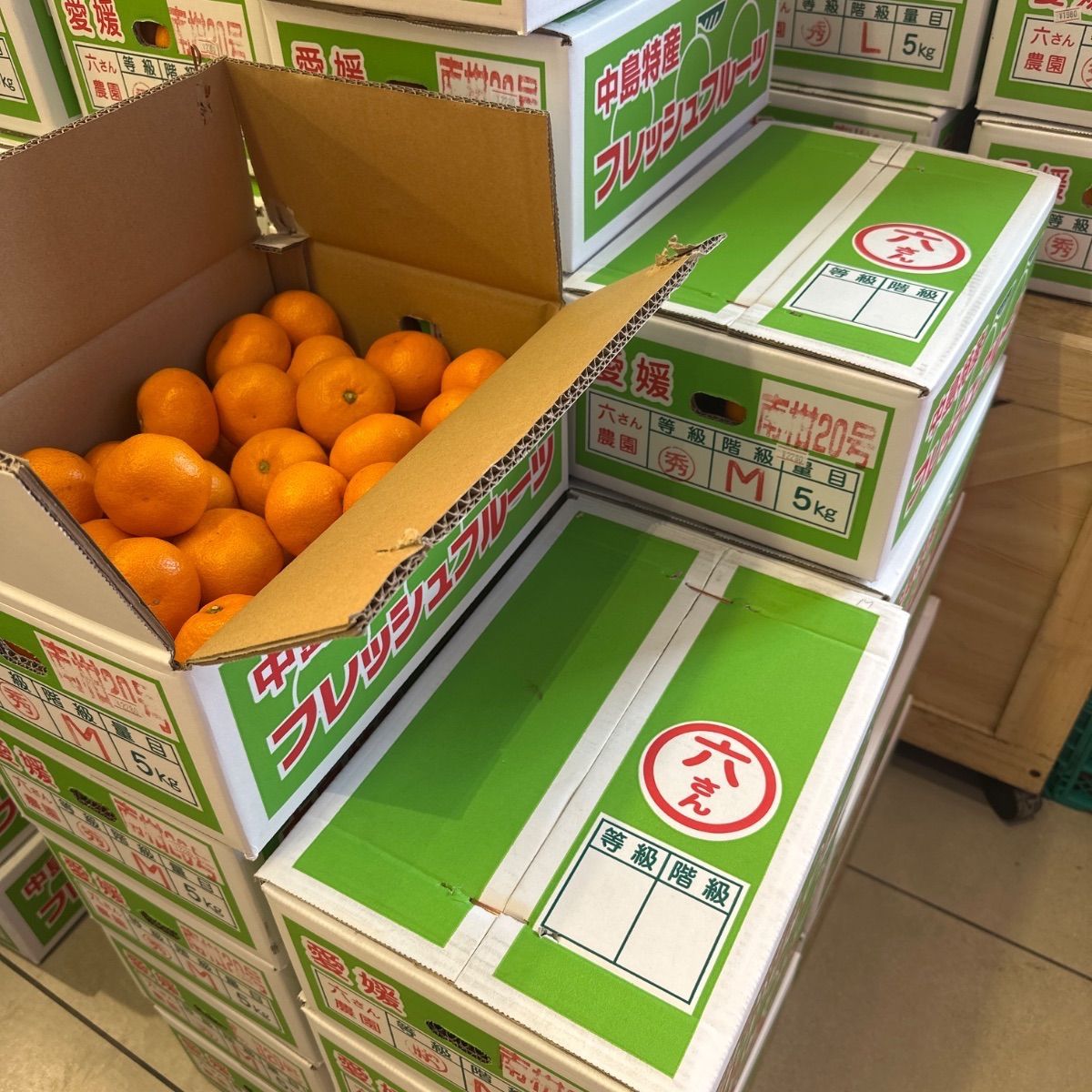 送料無料】紅まどんな・中島みかん 6000記念セット - メルカリ