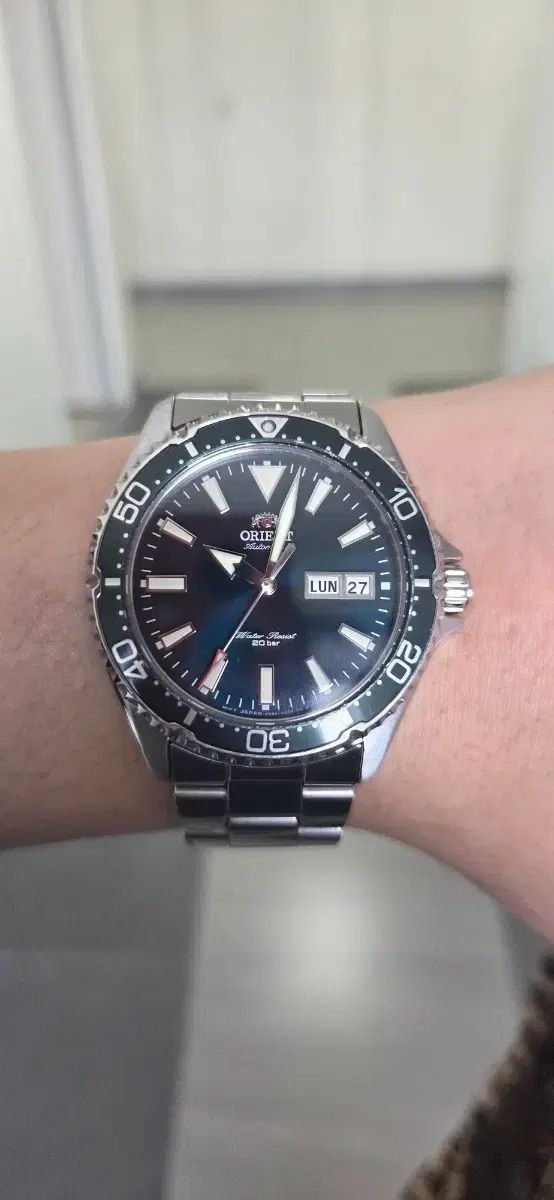 オリエント カマース 緑版