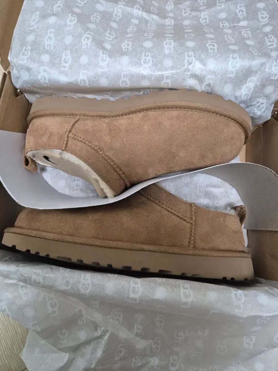 UGG アグ チェスナット Classic マイクロ 250