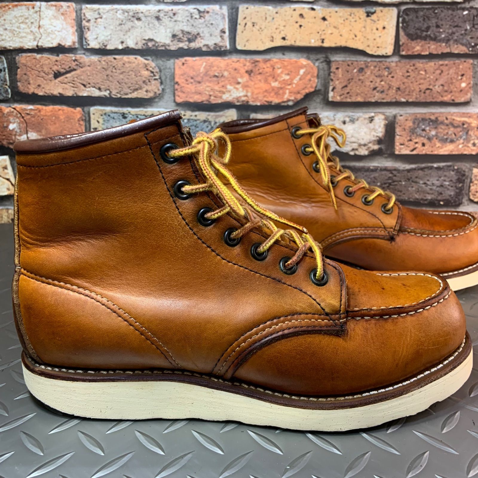 25㎝ レッドウイング