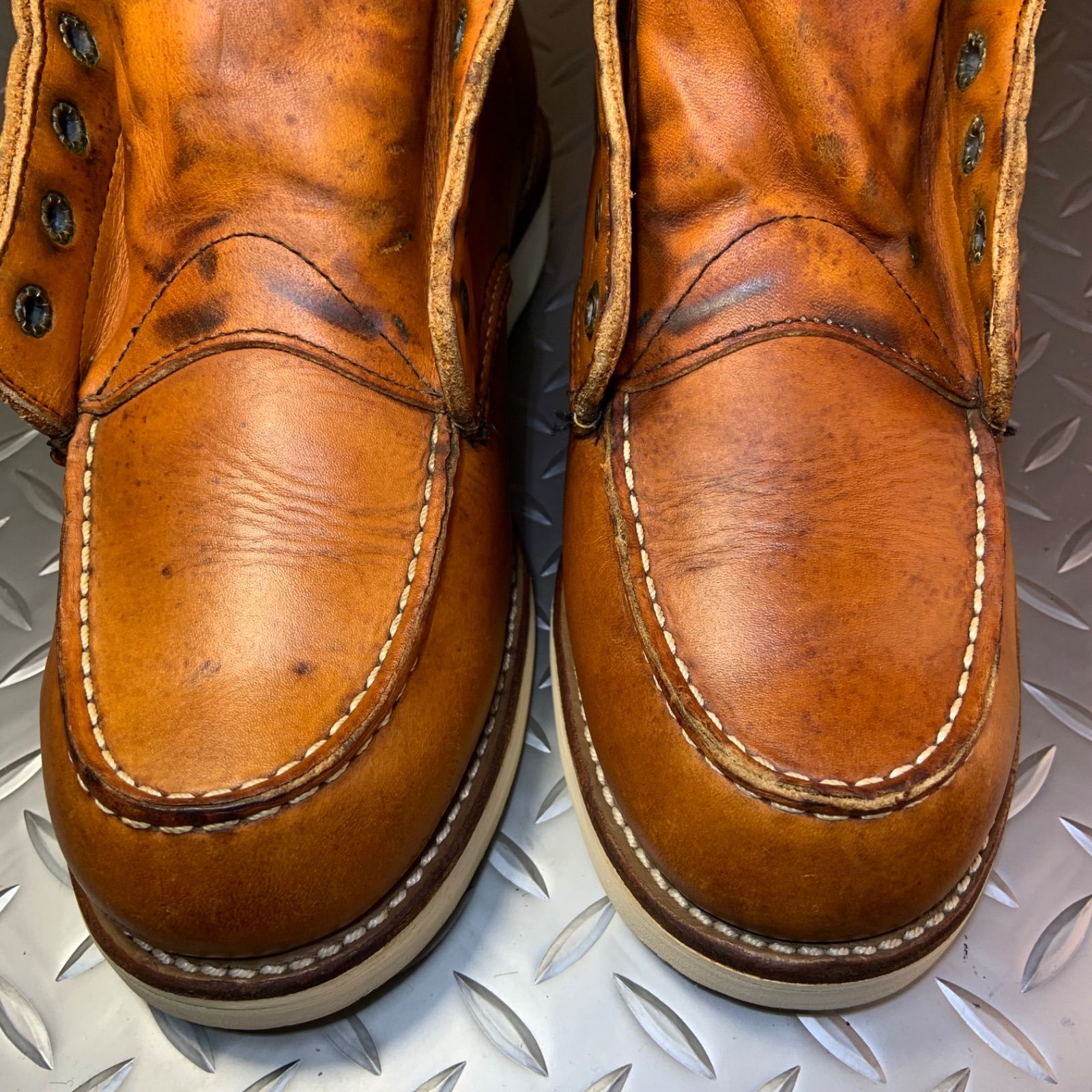 25㎝ レッドウイング