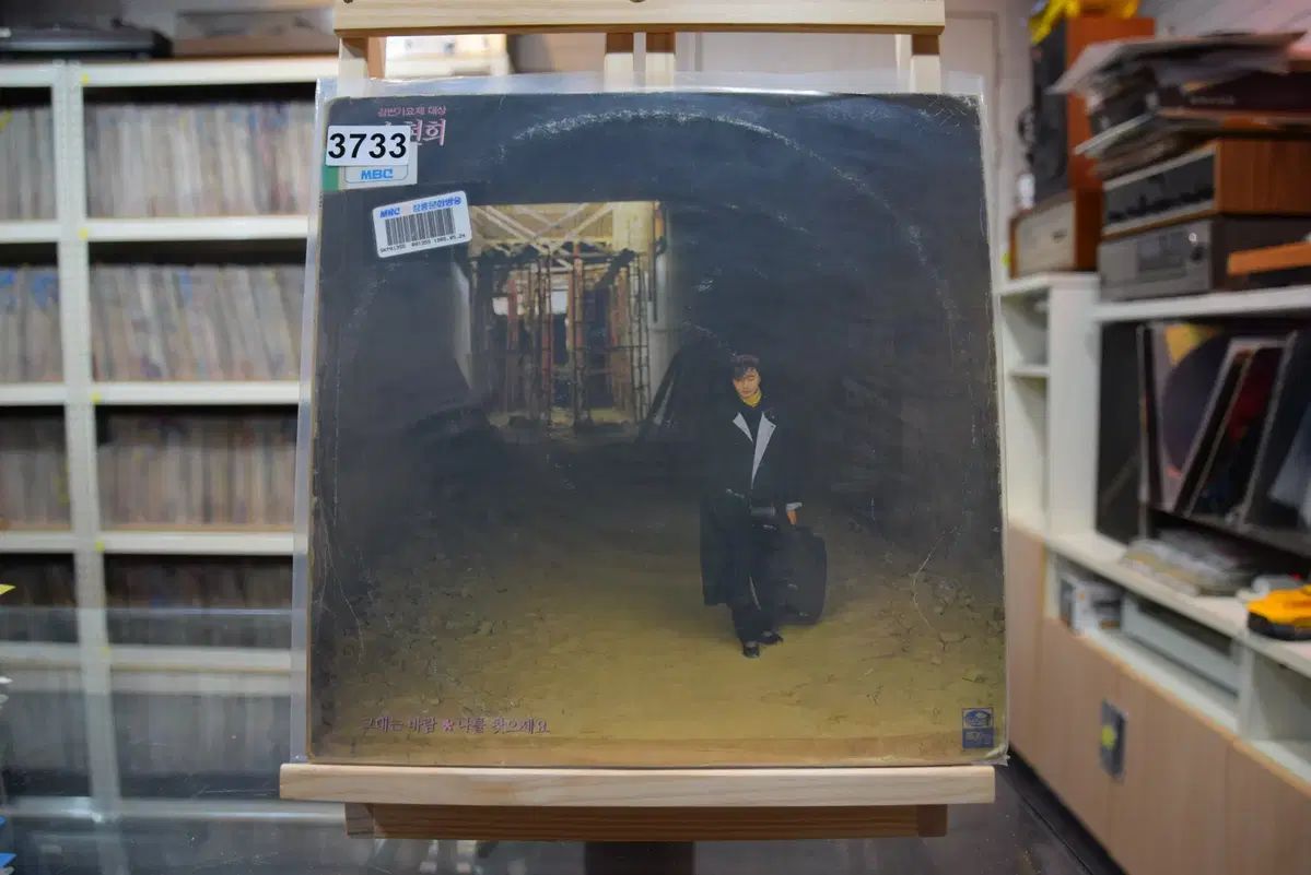 期間限定2000円OFF 2024 ロンドンV&A フラワーアート 2点 額装＆マット付き