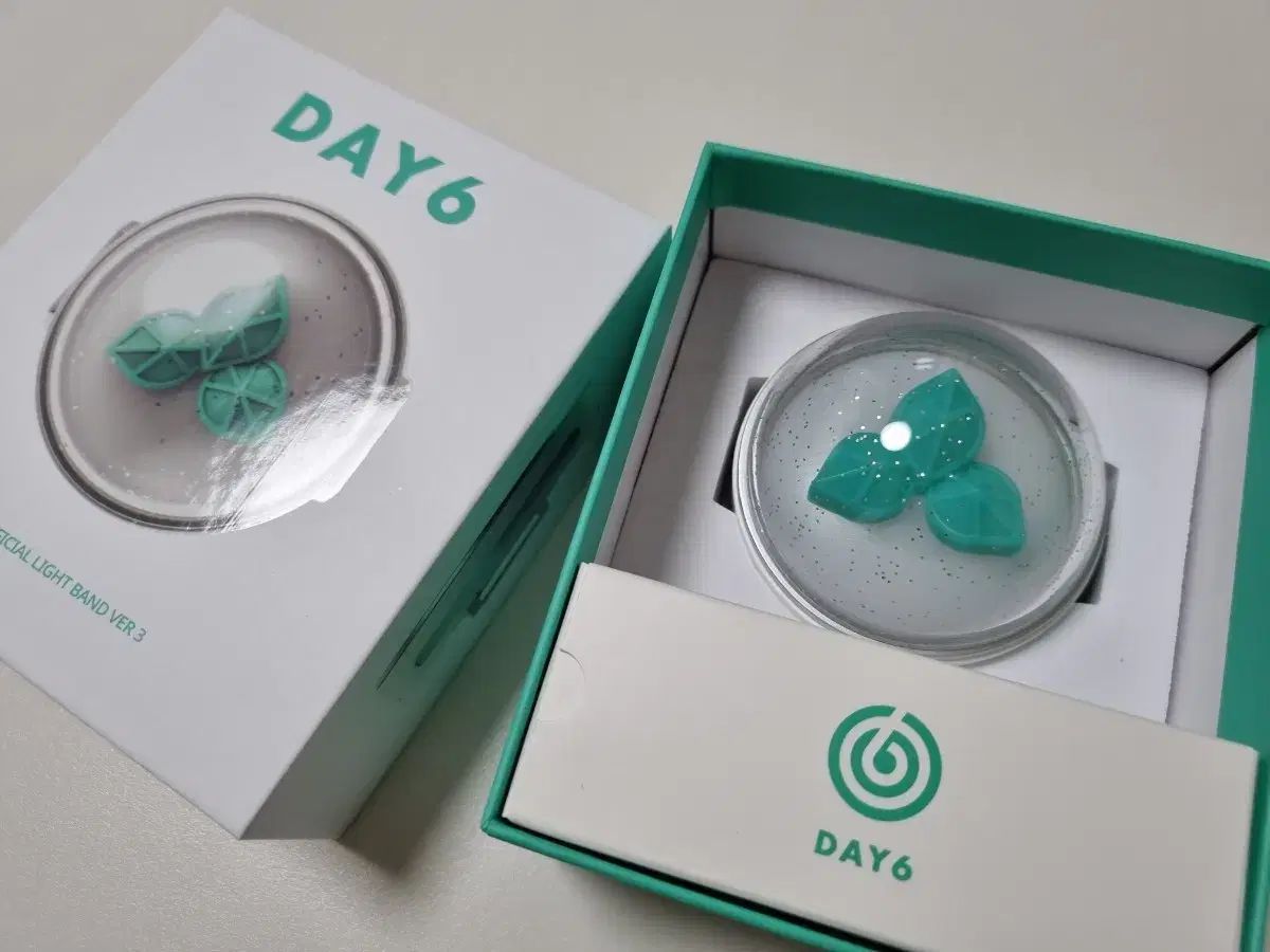 DAY 6 LIGHT BAND ペンライト ver 3