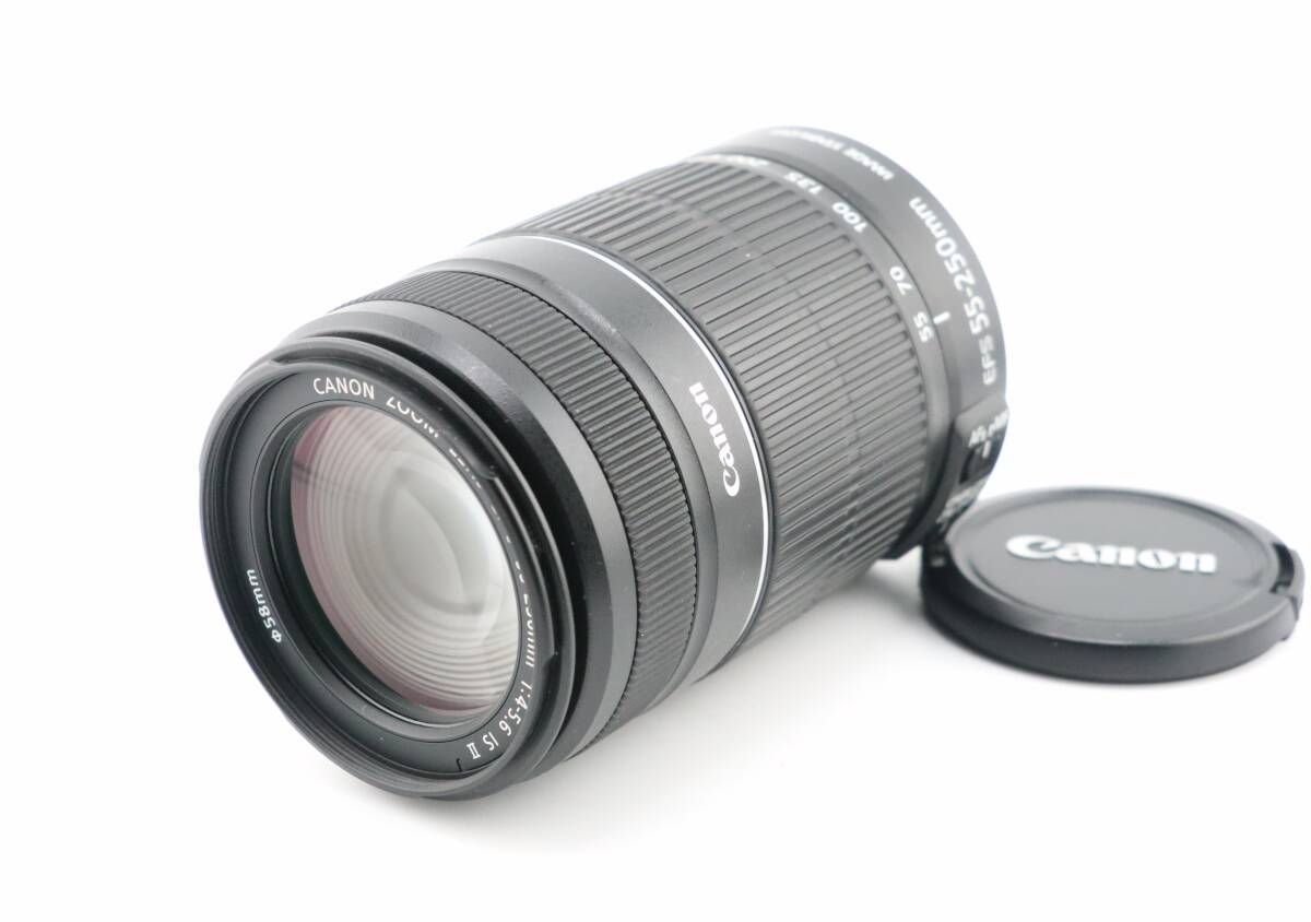 上品 キヤノン CANON EF S 55 250 mm F 4 5 6 IS II W 1248＃3922