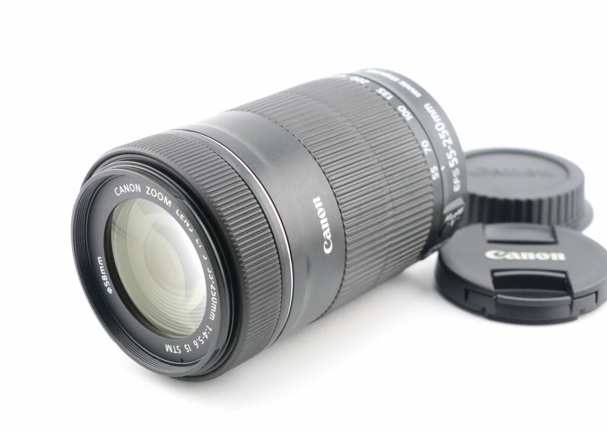 上品 キヤノン CANON EF S 55 250 mm F 4 5 6 IS STM W 1212＃3923