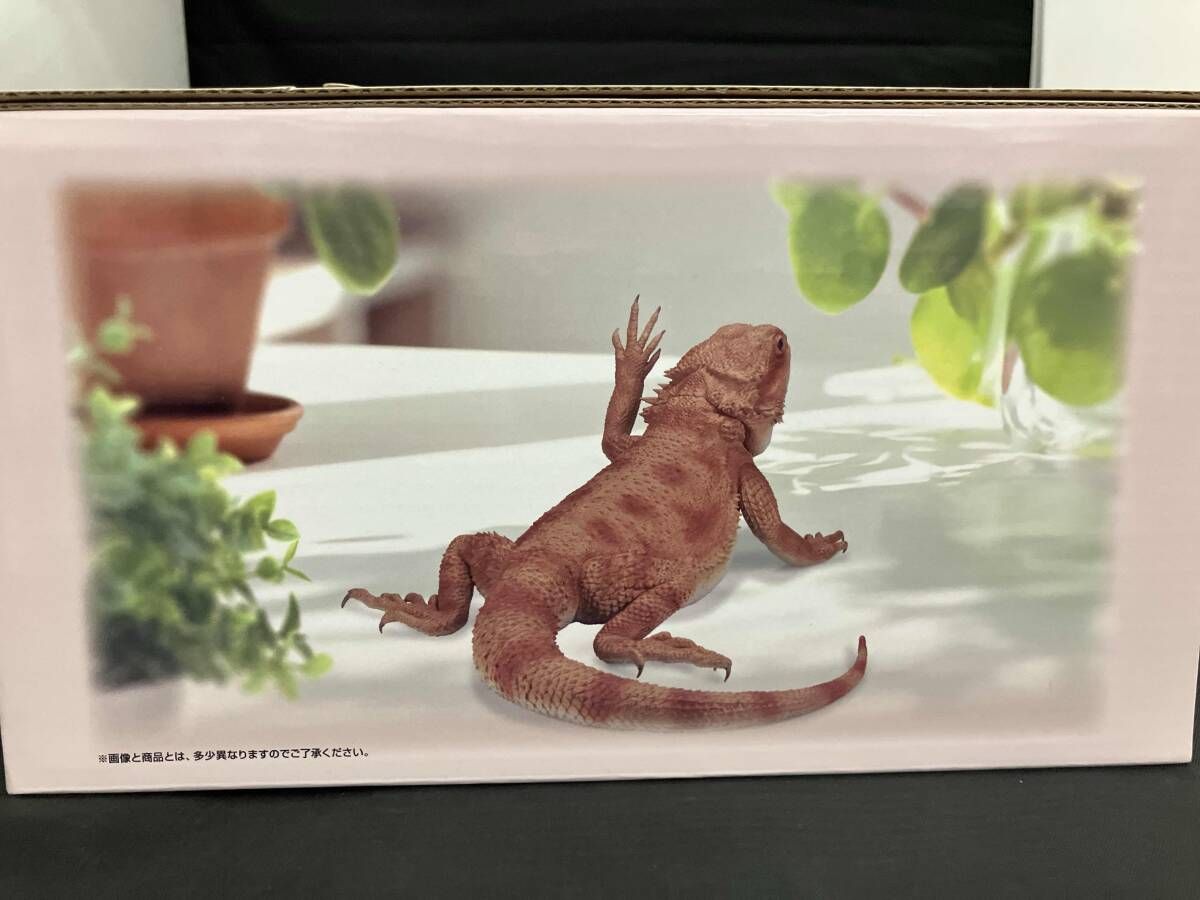 未開封品 ラストワン賞 フトアゴヒゲトカゲ アｰムウェｰビングver. 一番
