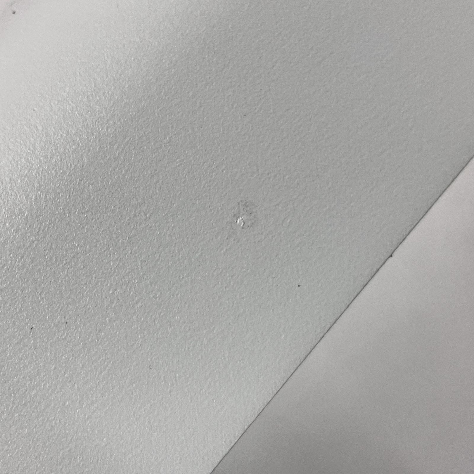 COFO 無重力モニター