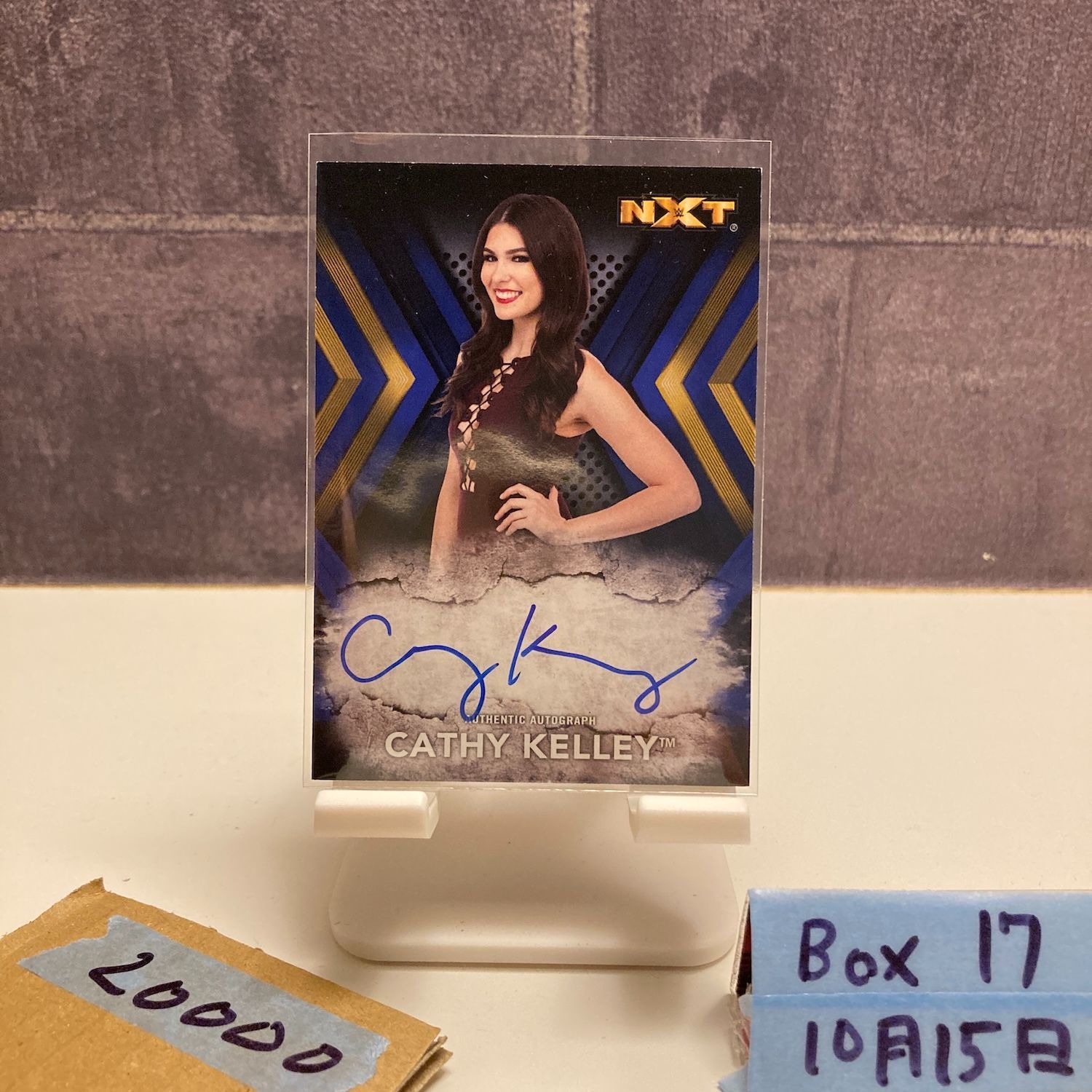 2017 TOPPS WWE Cathy Kelley 19 50 直筆サインカード NXT カード