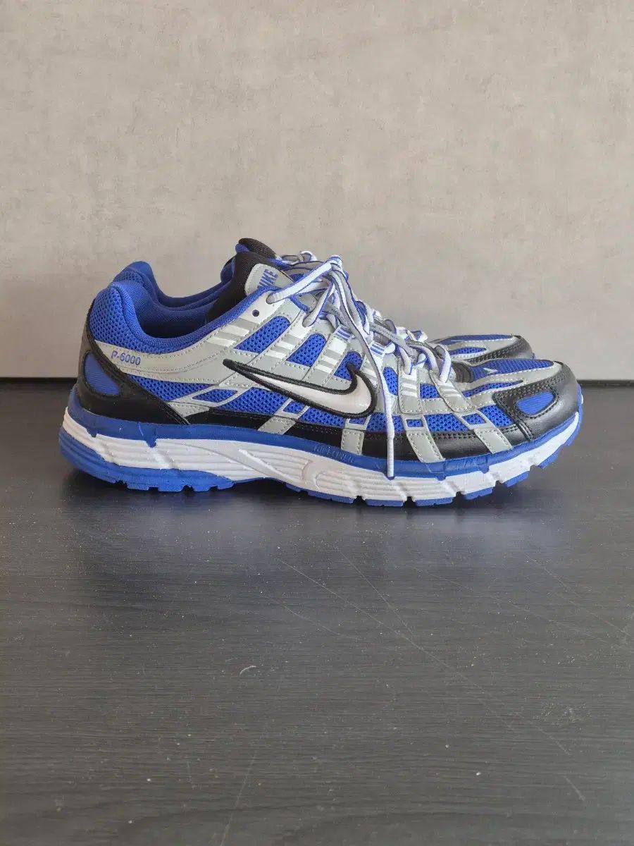ナイキ P 6000 レーサー ブルー 280