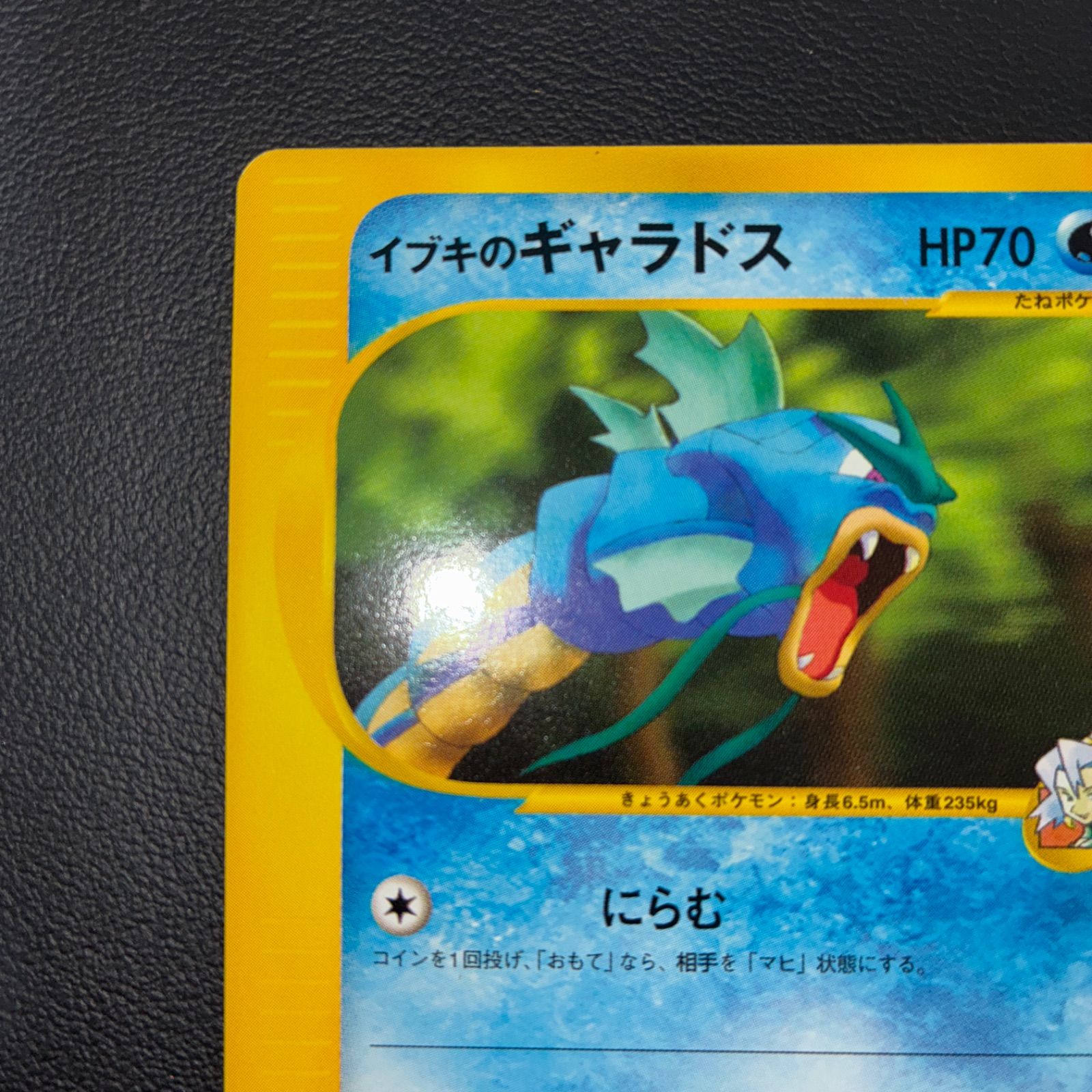 状態S イブキのギャラドス VS カードe 1ed - メルカリ