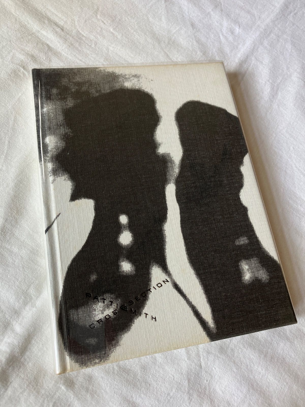 Patti Smith Cross Section