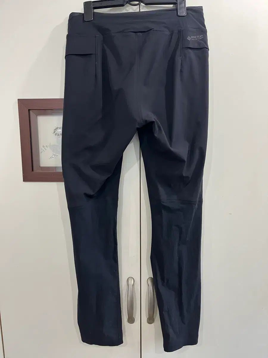 アークテリクス ツリーノ SL タイツ パンツ ウィメンズ ブラック