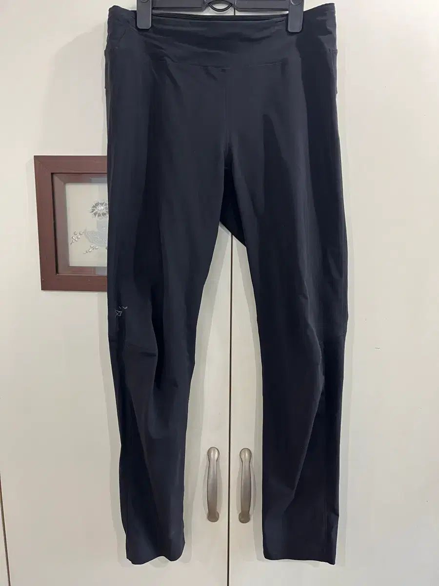 アークテリクス ツリーノ SL タイツ パンツ ウィメンズ ブラック