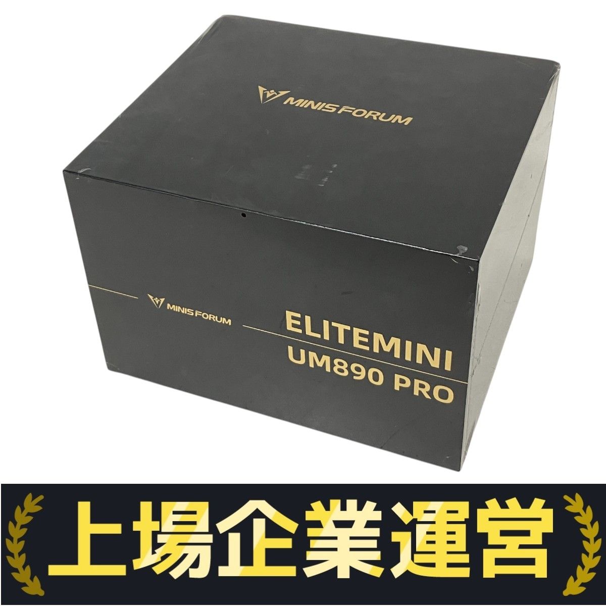 MINIS FORUM UM 890 PRO ミニ デスクトップ PC 64 GB SSD 1 TB Ryzen 9 8945 HS AMD Radeon 780 M Windows 11