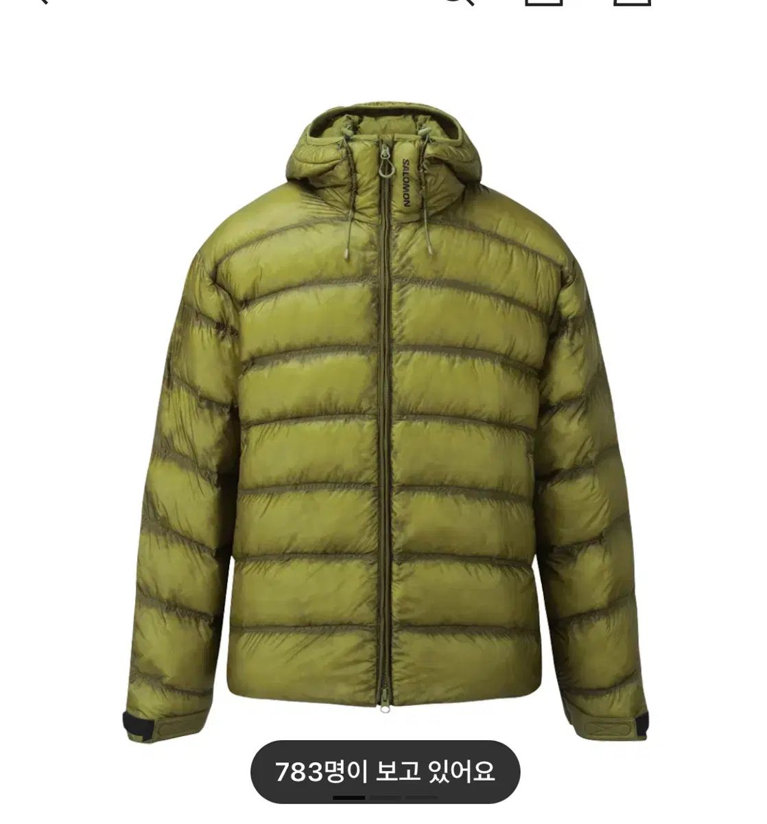 サロモン UNI クロス インシュレーション ジャケット シード グリーン