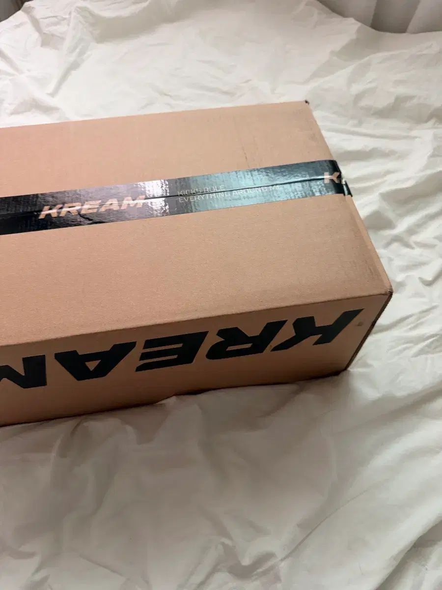 アグ Classic Mini ブーツ チェスナット US 6 W サイズ