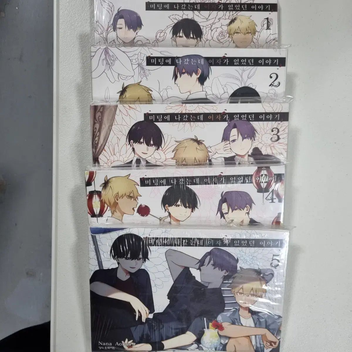 ミーティングに 出かけました レディース なかった 物語 1 5 巻