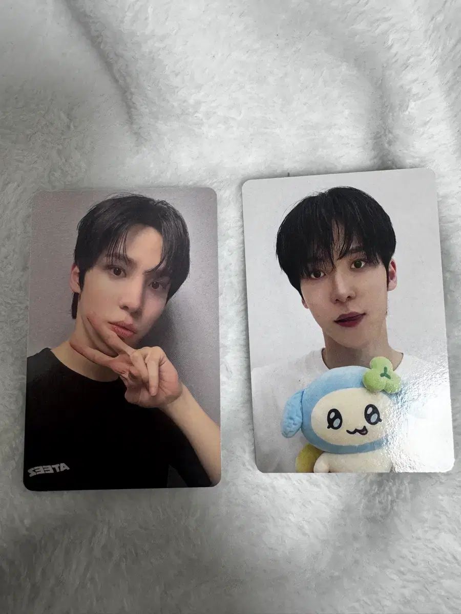 MYティー Tシャツ ユンホ あんさんぶるスターズ あんスタ 全メンバー セット