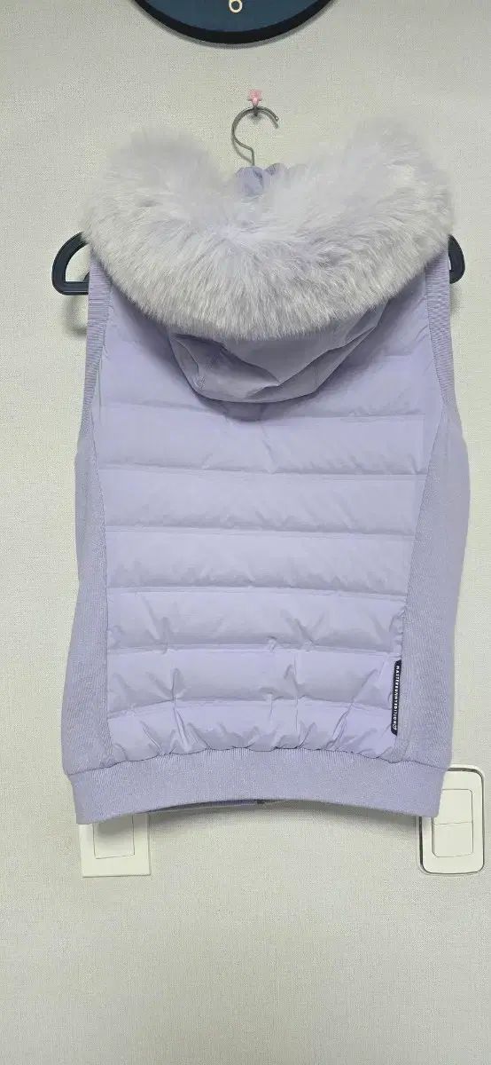 マスターバニーレディースベスト