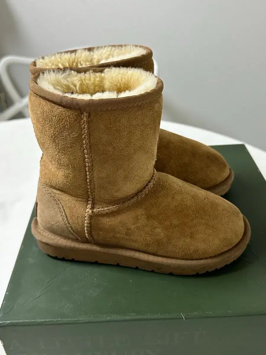 フルセット オッズウェア アグ チェスナット 190