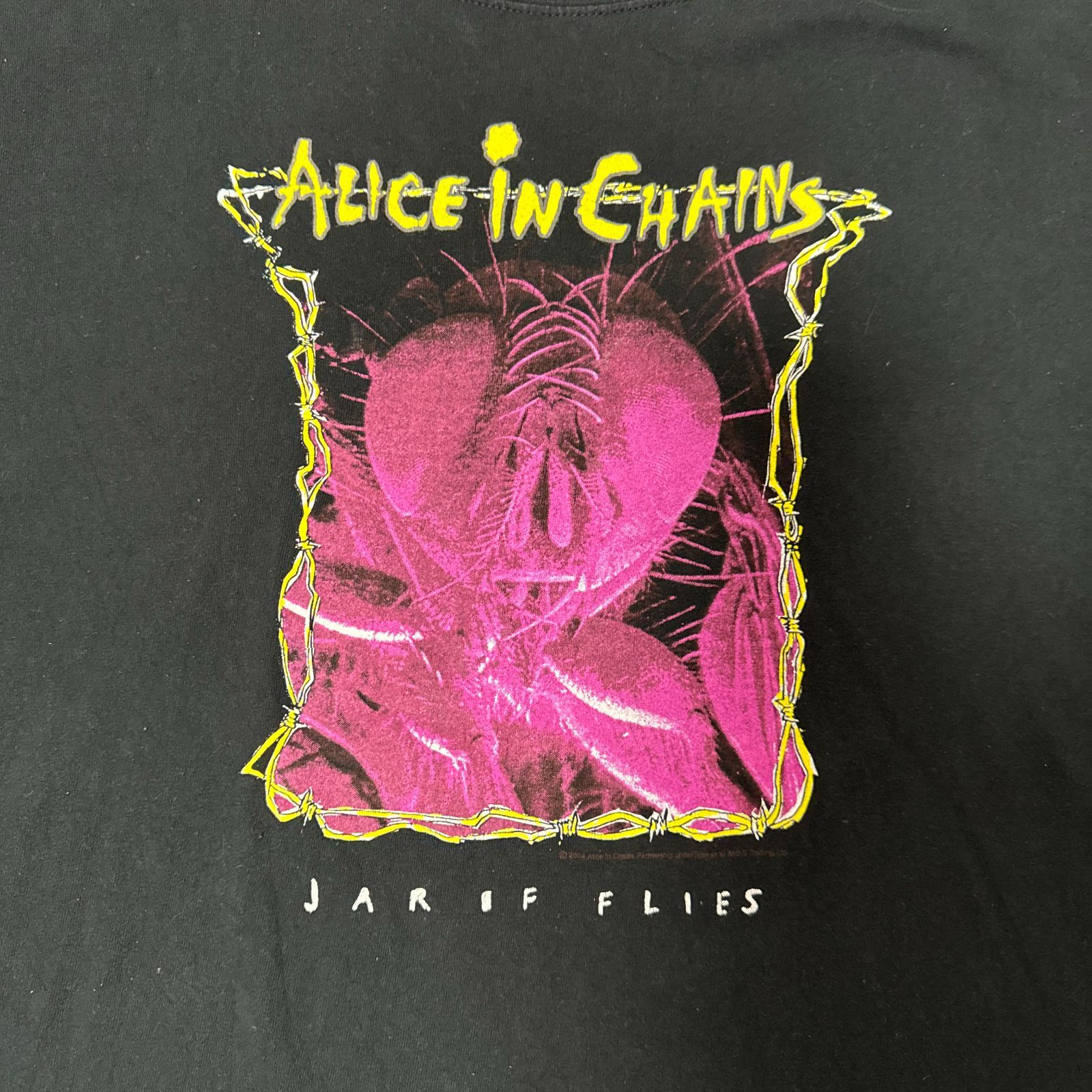 00s Y2K ALICE IN CHAINS Jar of Flies 2004 アルバム プリント T