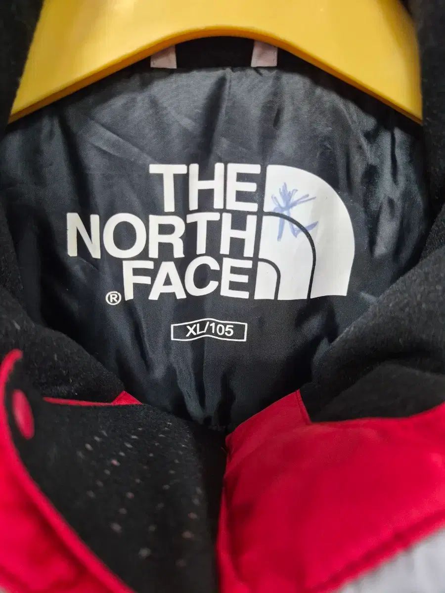 THE NORTH FACE ザノースフェイス 平昌オリンピック ダウン スキー