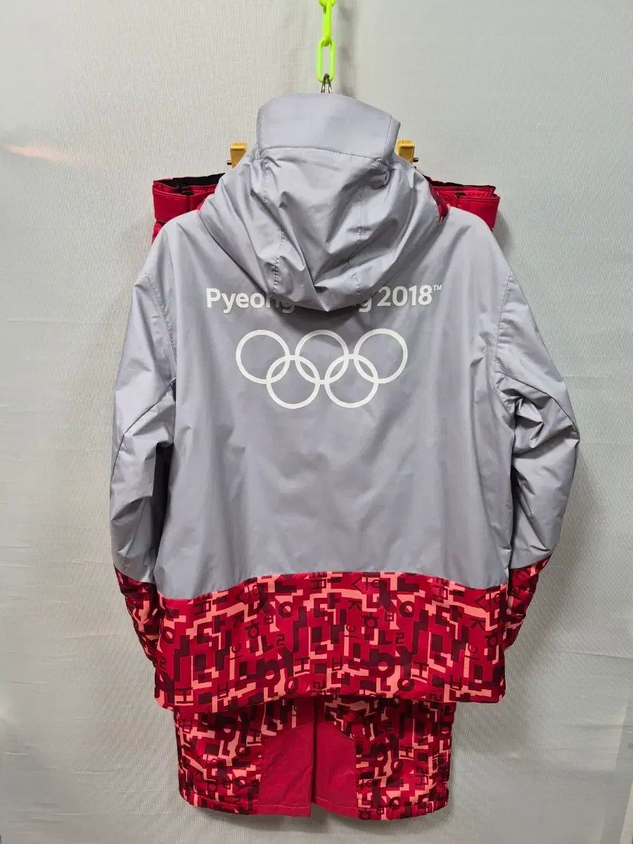 THE NORTH FACE ザノースフェイス 平昌オリンピック ダウン スキー