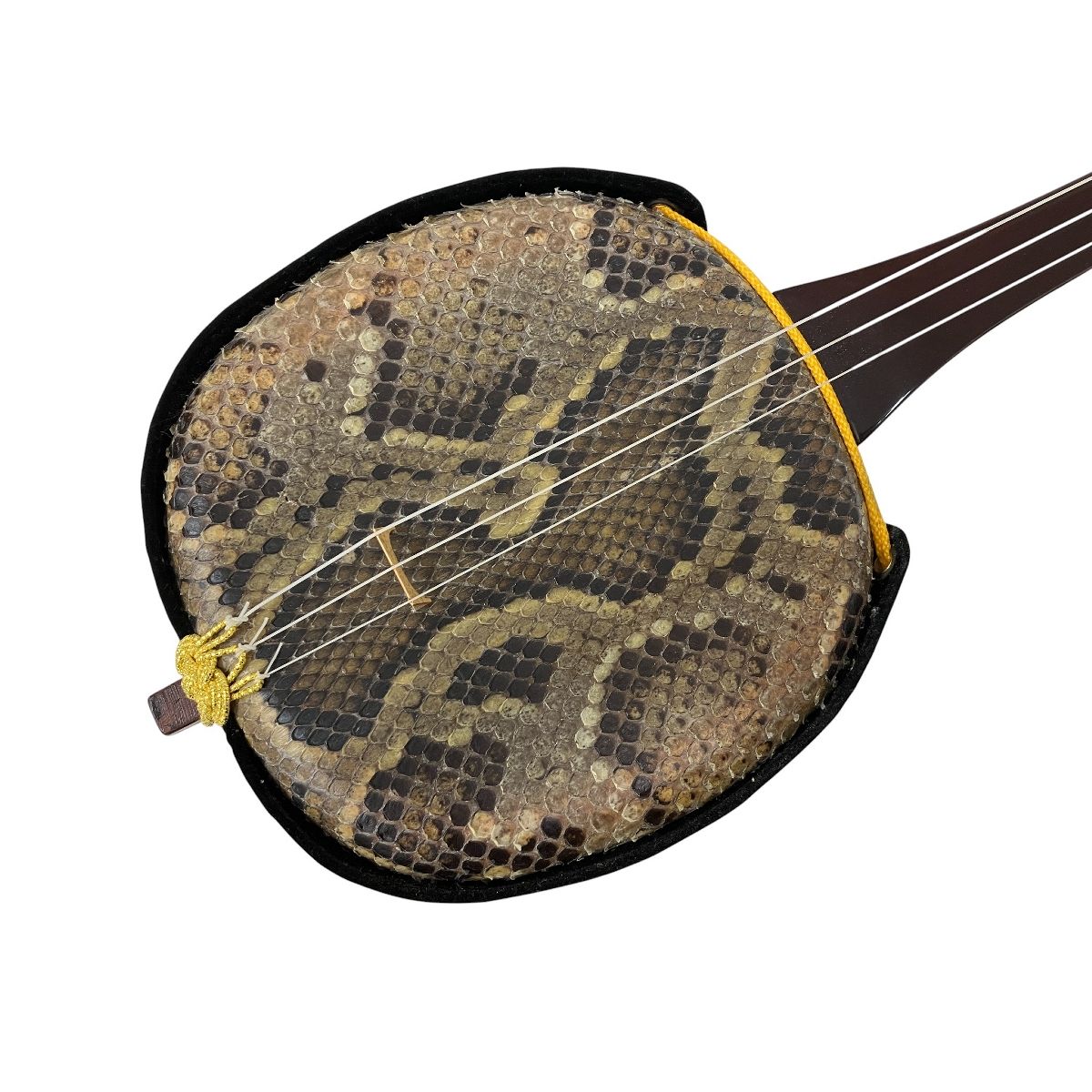 琉線 RS300 三線 沖縄三味線 弦楽器 琉球 和楽器 ケース付き 初心者