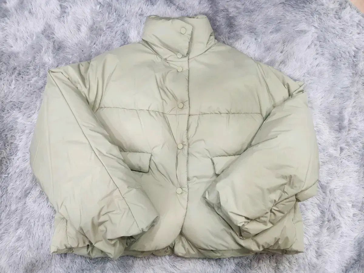 the CASHMERE クロップドグースダウン