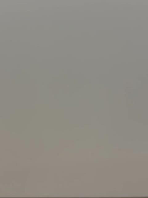  THORN チューダー サブマリーナー 数量限定 自動巻き時計 腕時計(アナログ)