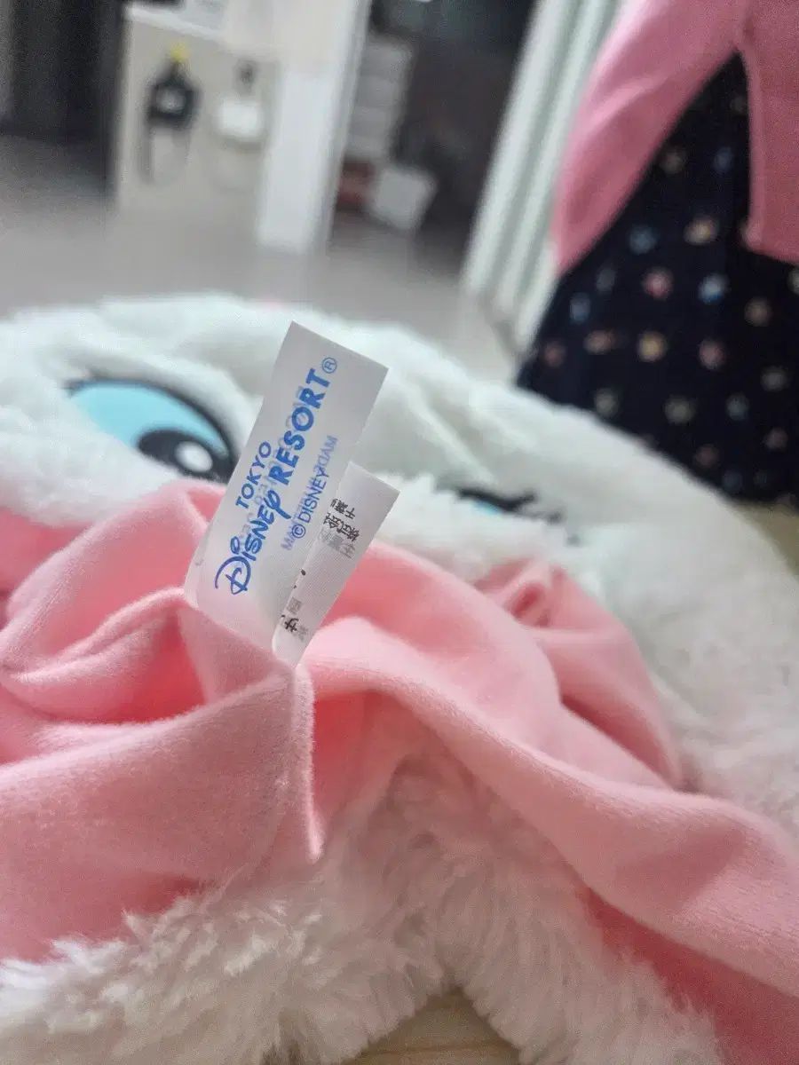 東京ディズニーシー記念品 帽子 セット