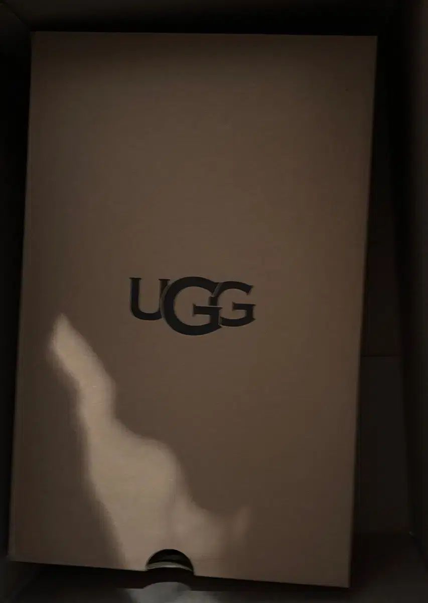 UGG アグ タズ II チェスナット