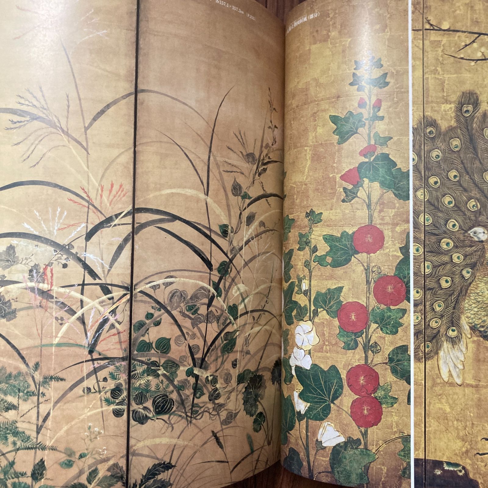 日本美術全集13 宗達・光琳と桂離宮 (日本美術全集(全20巻)) 小学館