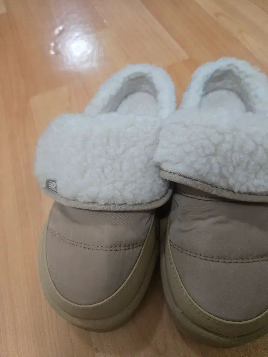 ニュー ンス パープル リーv 2 250