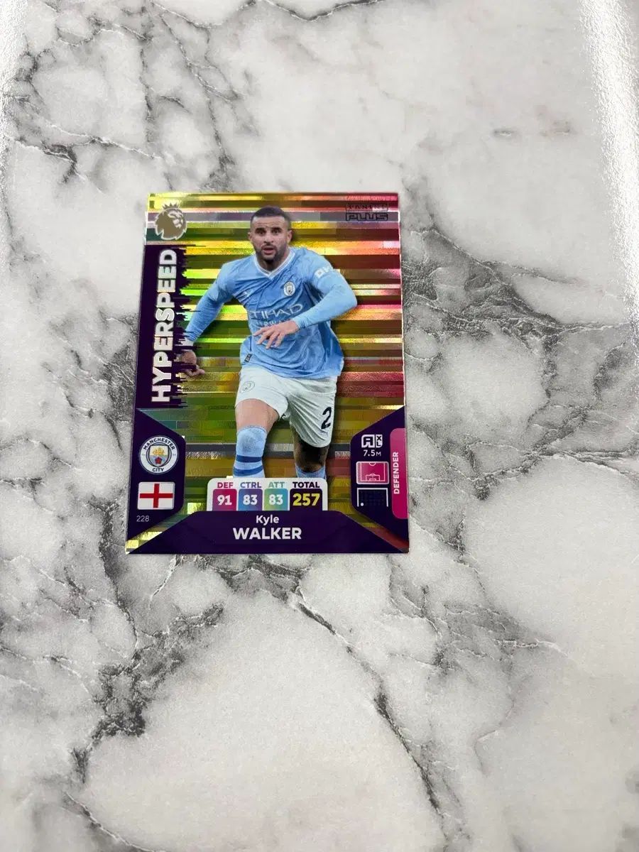  パニーニ リーグ カード 記念グッズ サッカー フットサル