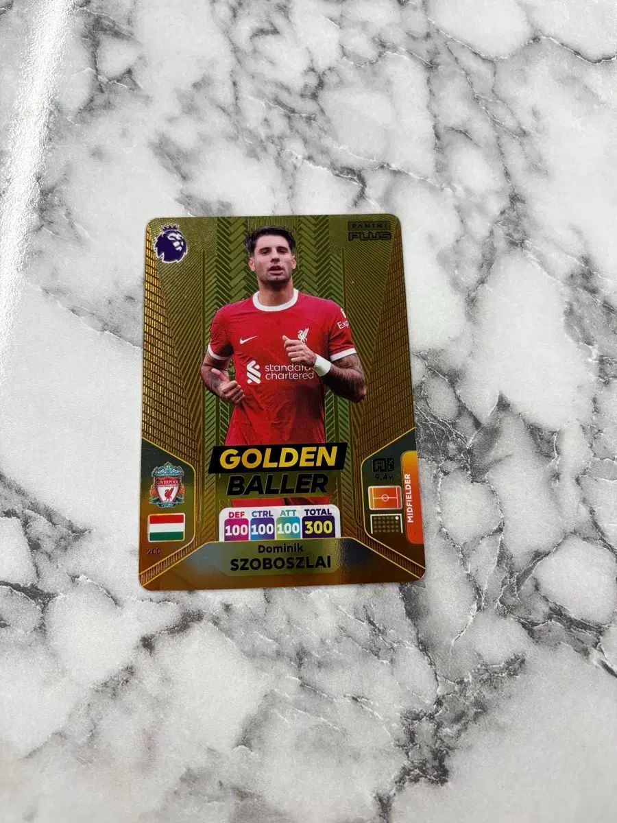 パニーニ リーグ カード