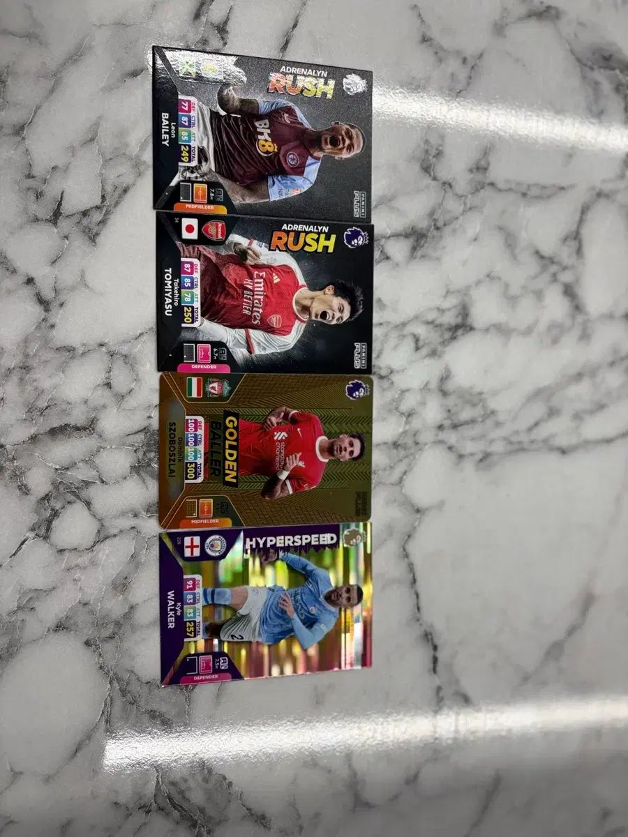 パニーニ リーグ カード