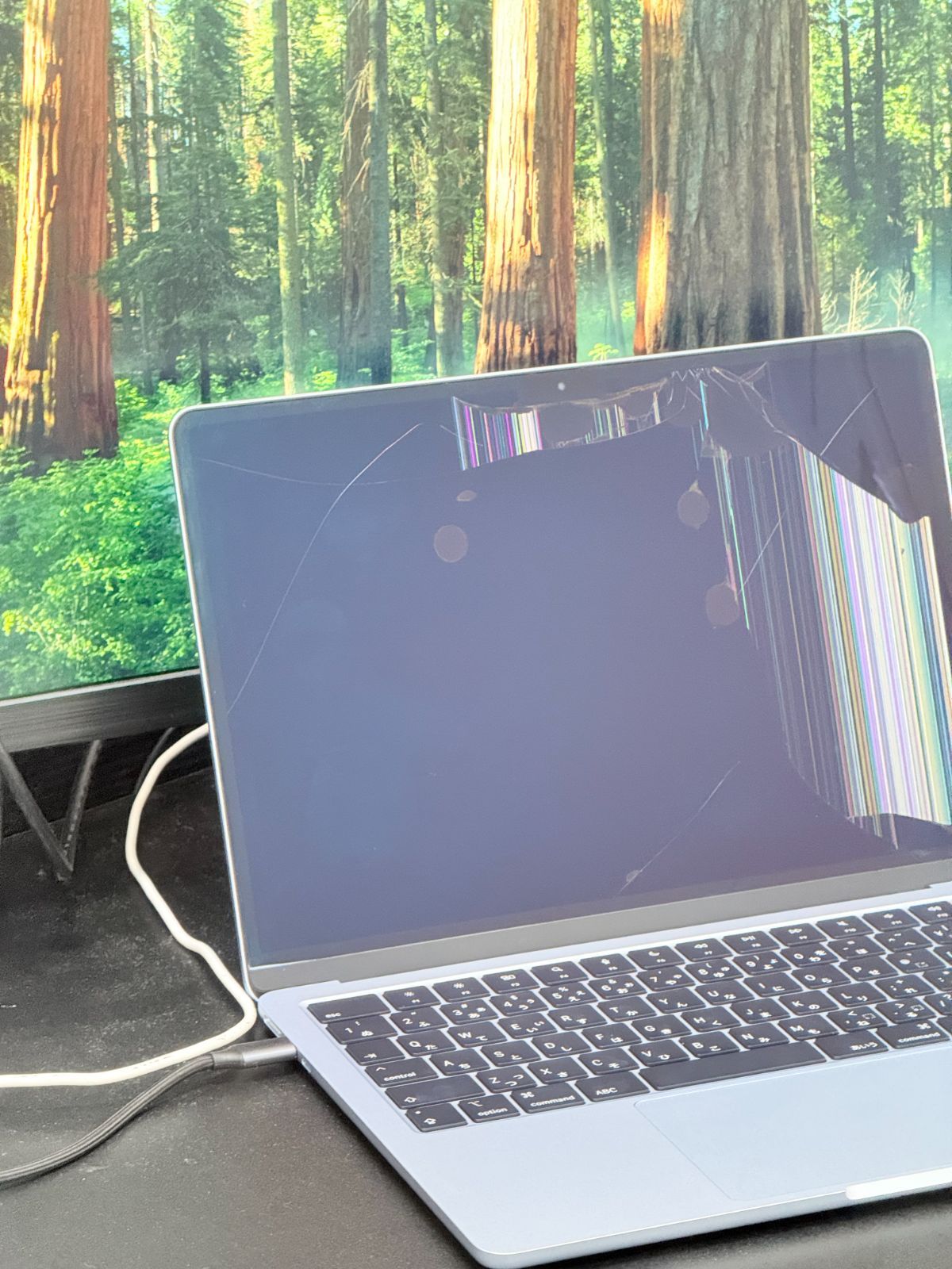 ジャンク】MacBook Air M4 バッテリー100% 充放電27回 外部出力OK