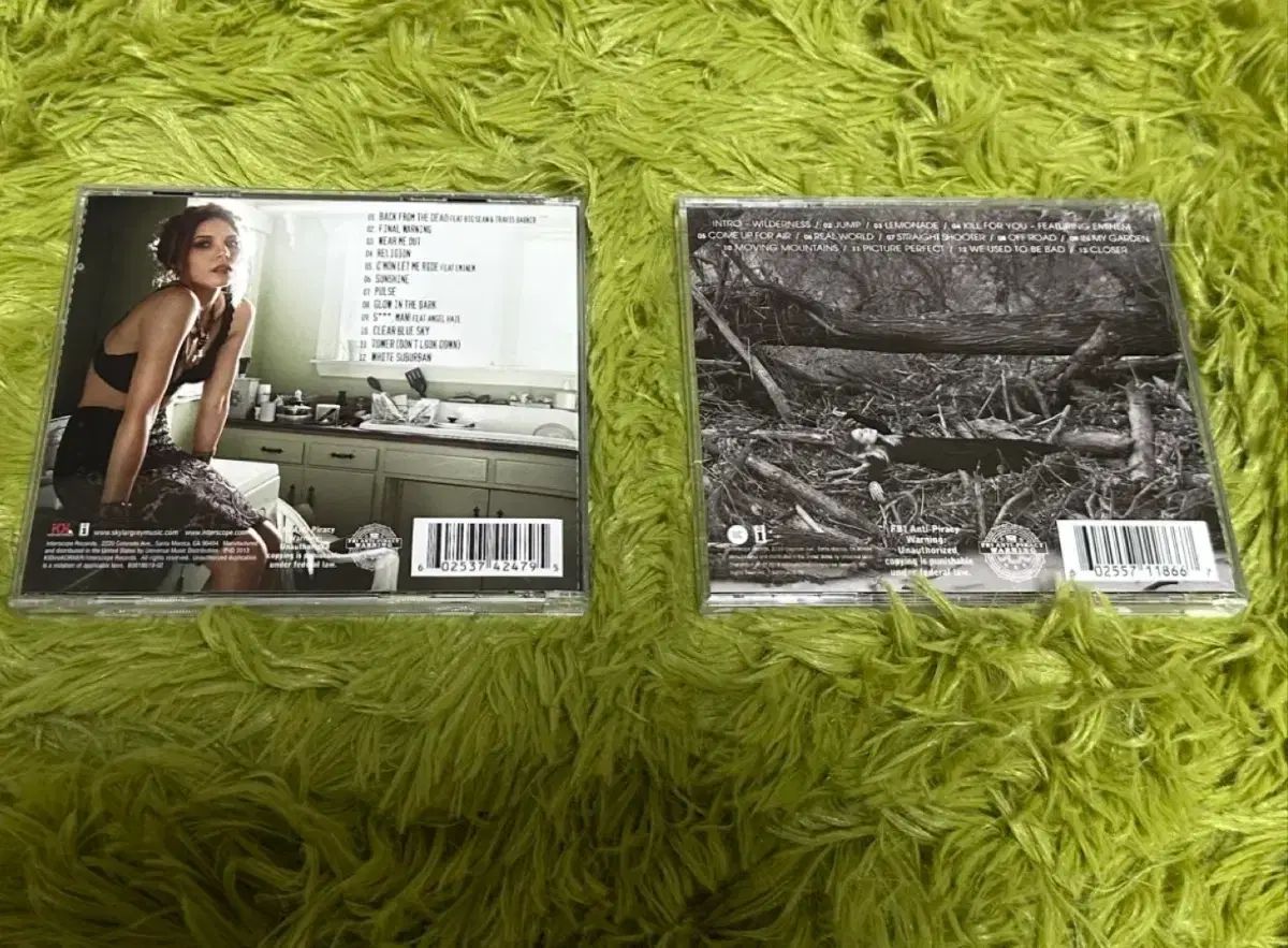 Skylar Grey スカイラー グレー 1 家 2